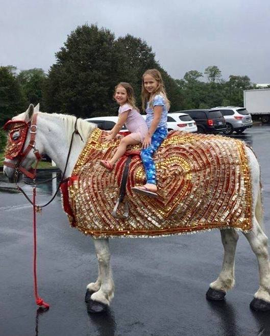 21231119_755931104553834_4249877097482667908_n